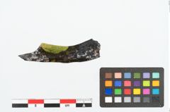 Foto von Eisengriffangelmesser (NHMW-PRAE-026161)